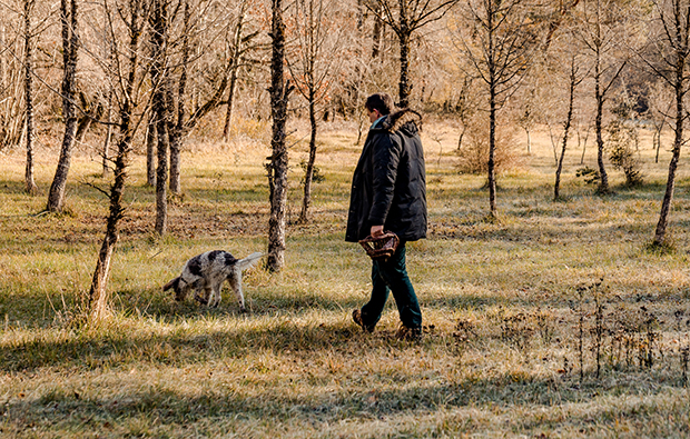 2310 trufficulteur et chien 620